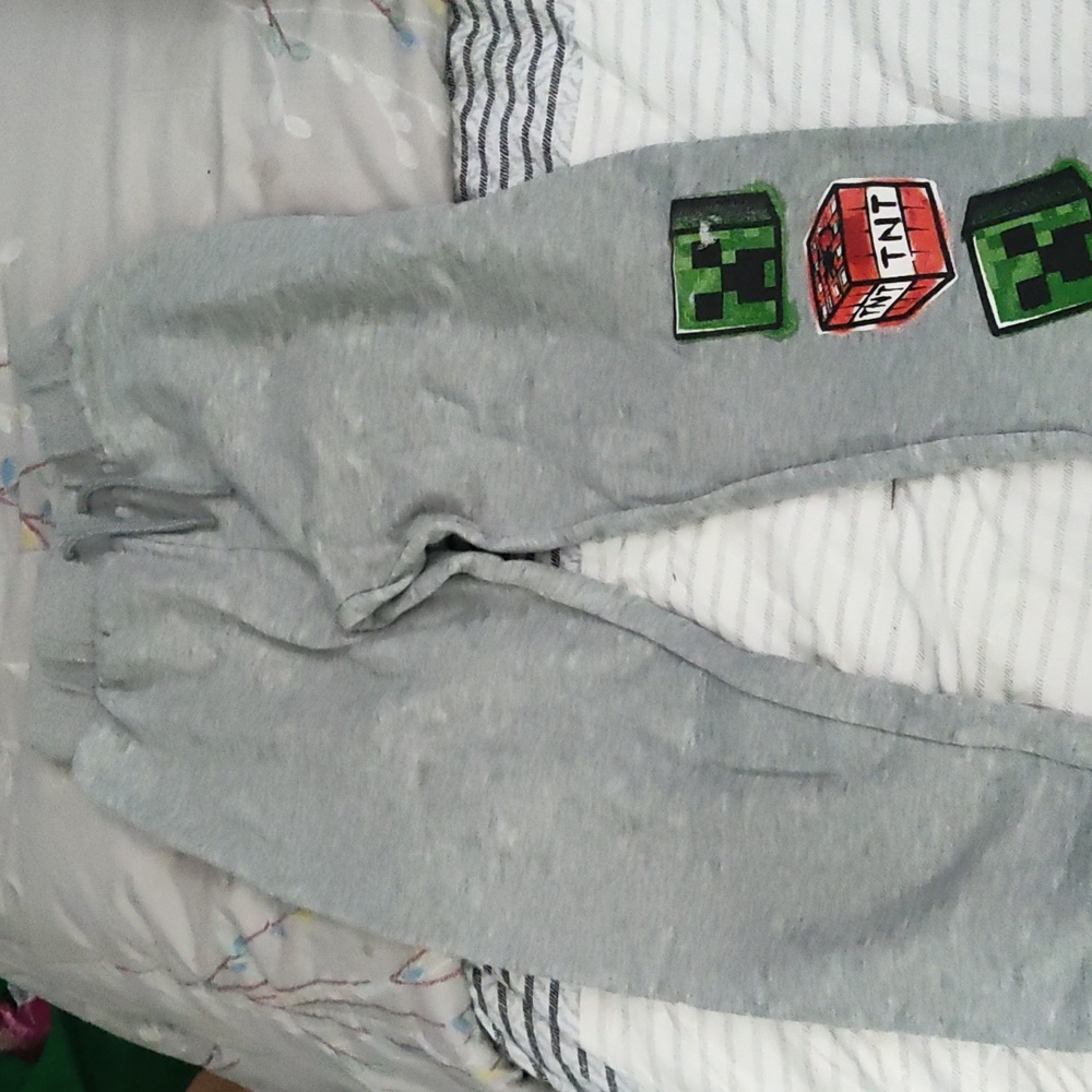 Boys L Minecraft Track pants